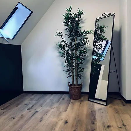 Fewo Vechtelust Apartmán Nordhorn